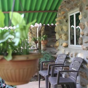 Jungle Book Resort